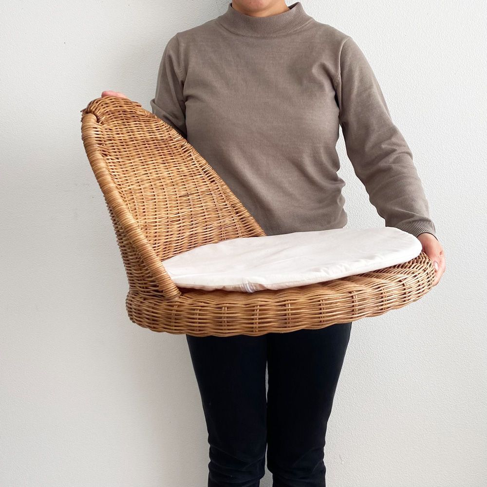 座椅子 籐 フロアチェア クッション付 椅子 いす ラタン