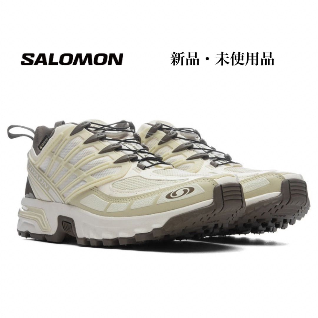SALOMON ACS PRO GTX サロモン ACS プロ ゴアテックス ベージュ メンズ 