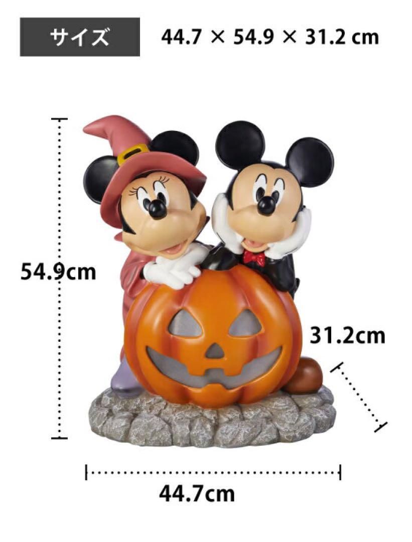 美品☆ハロウィン ミッキー＆ミニーとパンプキン 瑞々しい