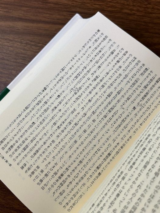 ラブレ-の宗教 １６世紀における不信仰の問題  /法政大学出版局/リュシアン・フェ-ヴル（単行本） ラブレーの宗教 16世紀における不信仰の問題 （叢書