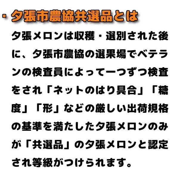 6月中旬か6月下旬ごろより入荷次第のお届けとなります