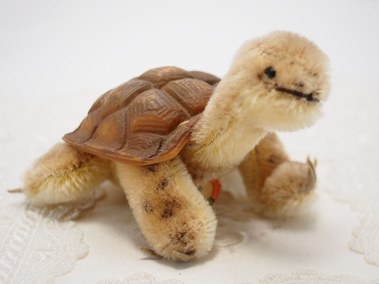 送料無料☆シュタイフ☆Slo Turtle 10cm オールID's完品☆カメの