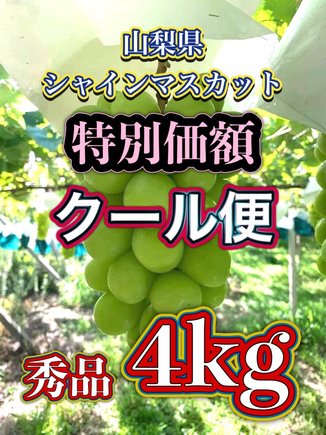 夏季限定】No.18 4kg シャインマスカット 摘みたて 産地直送 山梨県産