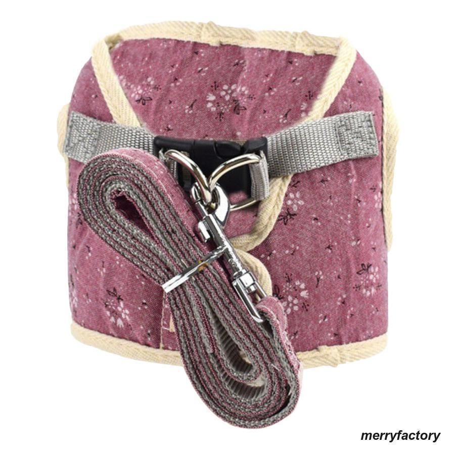 新品✨未使用COACH 犬の首輪シグネチャー ボーン チャーム ドッグ