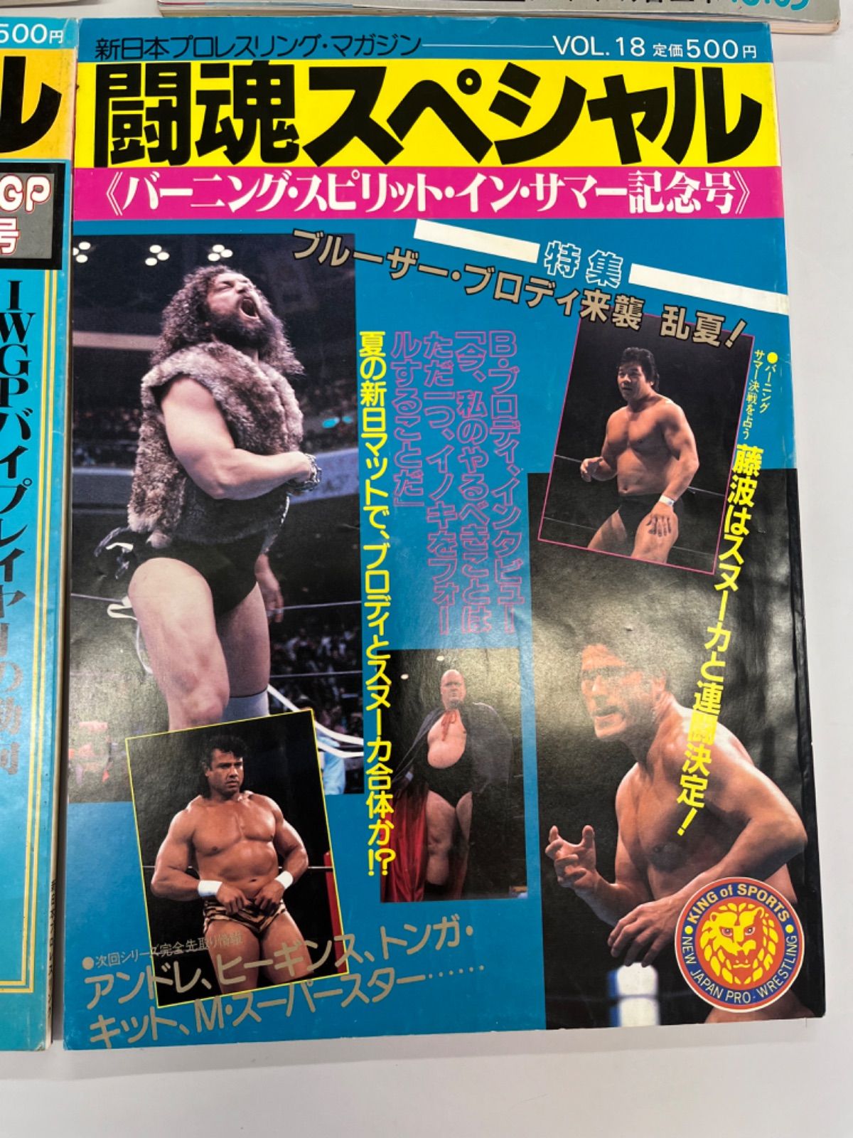 新日本プロレスリング・マガジン 闘魂スペシャル G・馬場 A