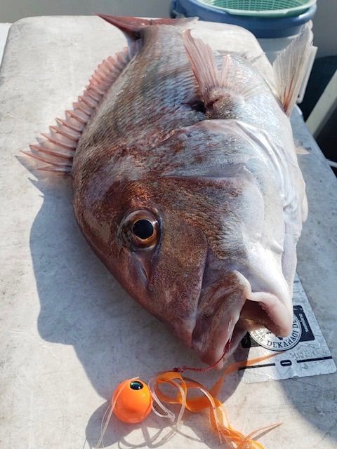タングステン タイラバヘッド タイラバ 鯛ラバジグ 150g3個