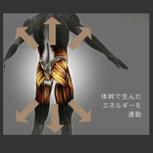 コアエナジー ベルト一体型インナー
