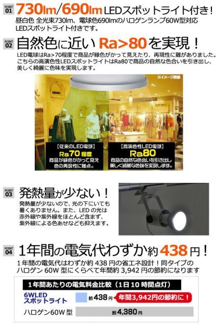 5個 |電球色