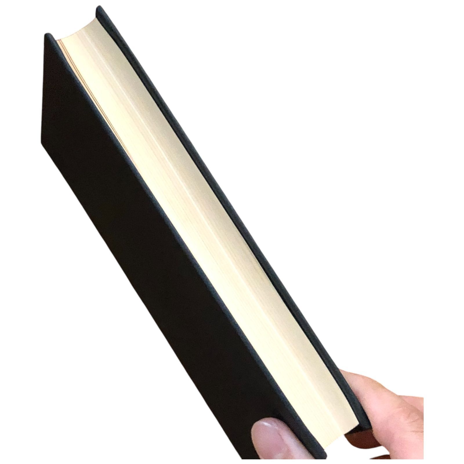 【裁断済み】ジョルジュ・バタイユ 13冊セット Amazon.co.jp: バタイユ著作集 ドキュマン ジョルジュ・バタイユ