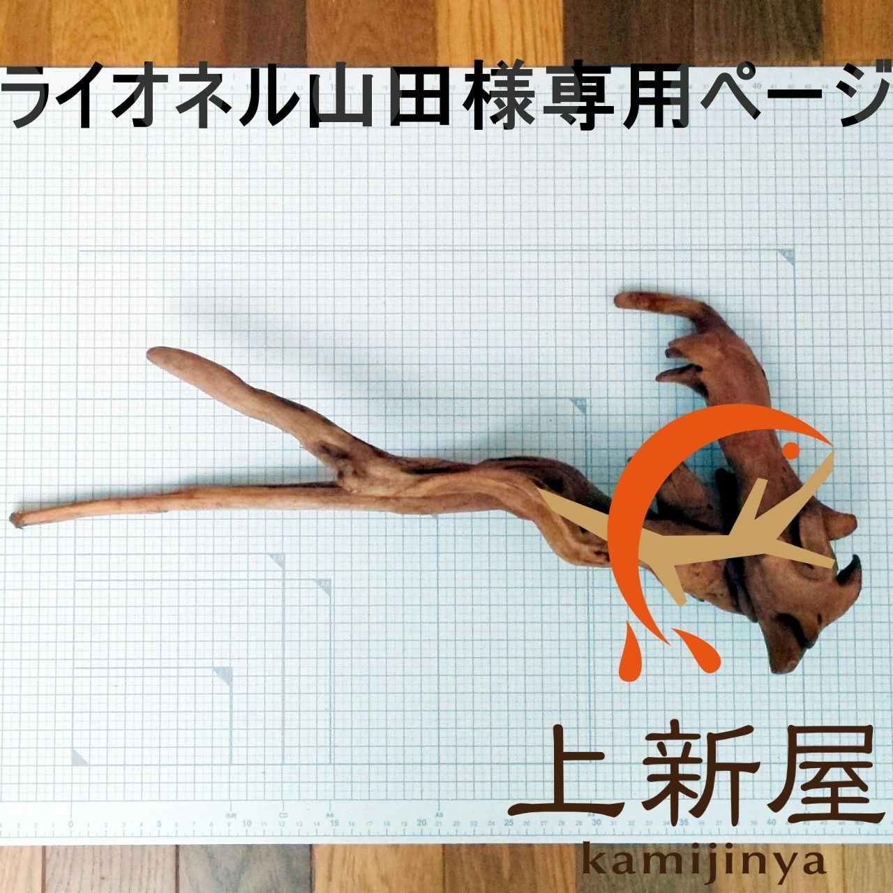 ライオネル山田様 ページ 250003 240001