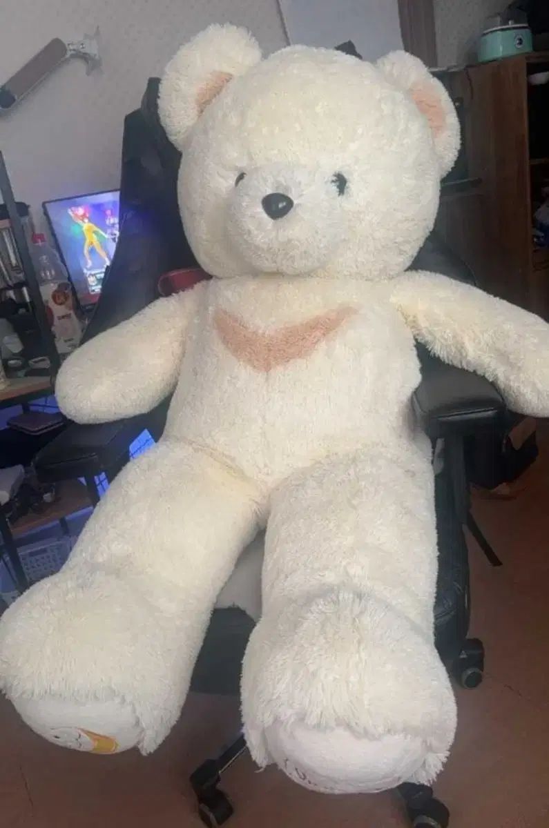 バラ売り対応】けものフレンズ3 ぬいぐるみ3点セット グッズ｜けもの