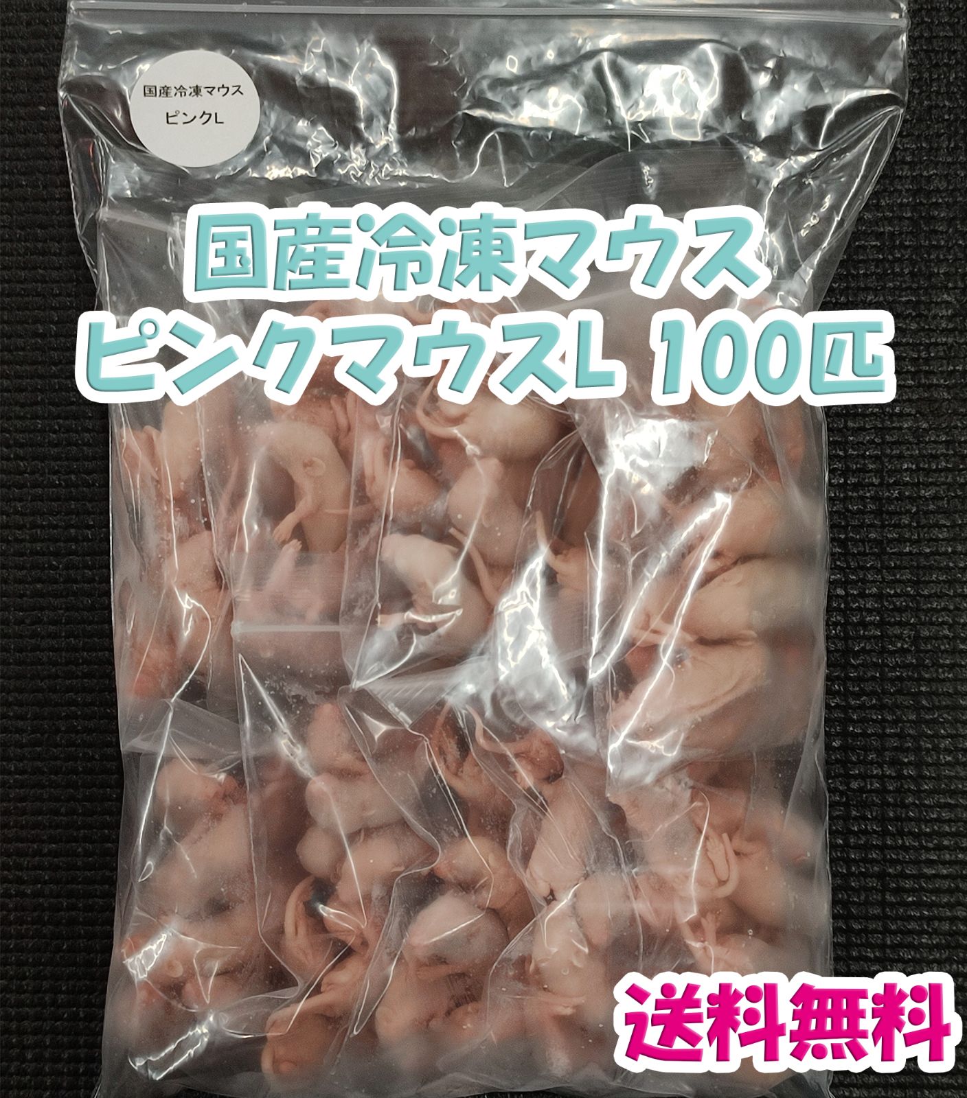 国産冷凍マウス ピンクS 100匹(地域限定送料無料) - 爬虫類