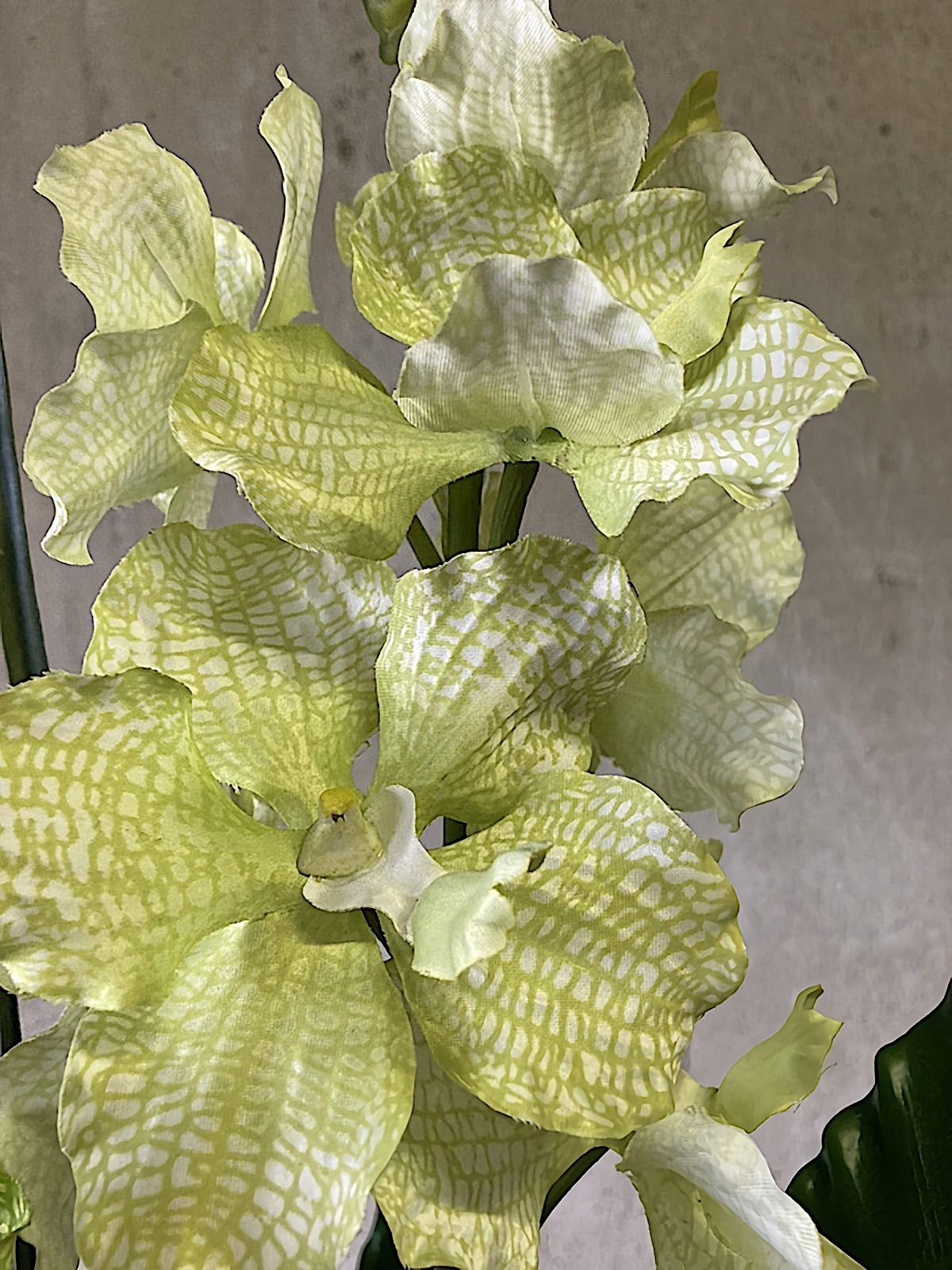 光触媒 人工観葉植物 ウォールグリーン フェイク フラワー バンダ  