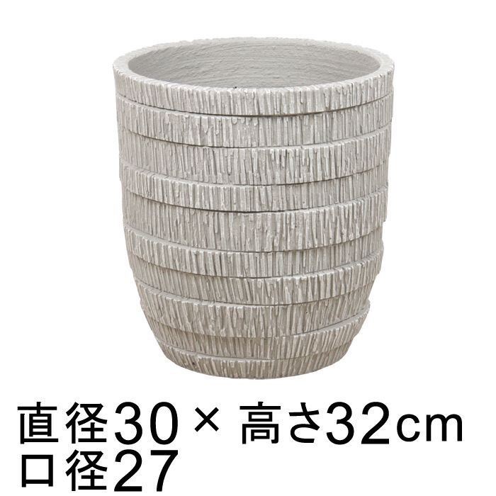 多肉用 テラリウム 苔リウム サボテン アガベ サボテン インテリア