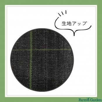 キンボシ GS