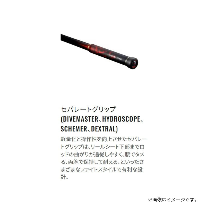 SCHEMER スキーマー
