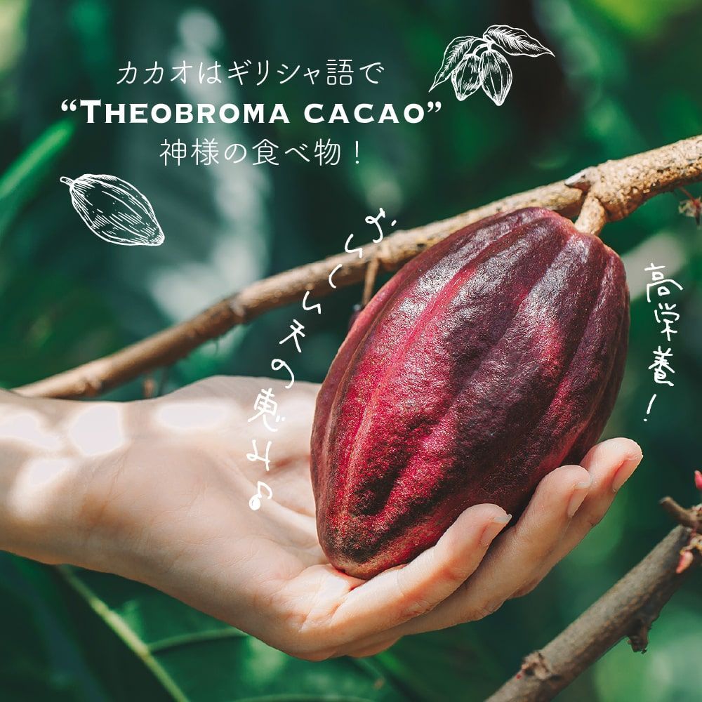 ナチュラルココアパウダー5kg