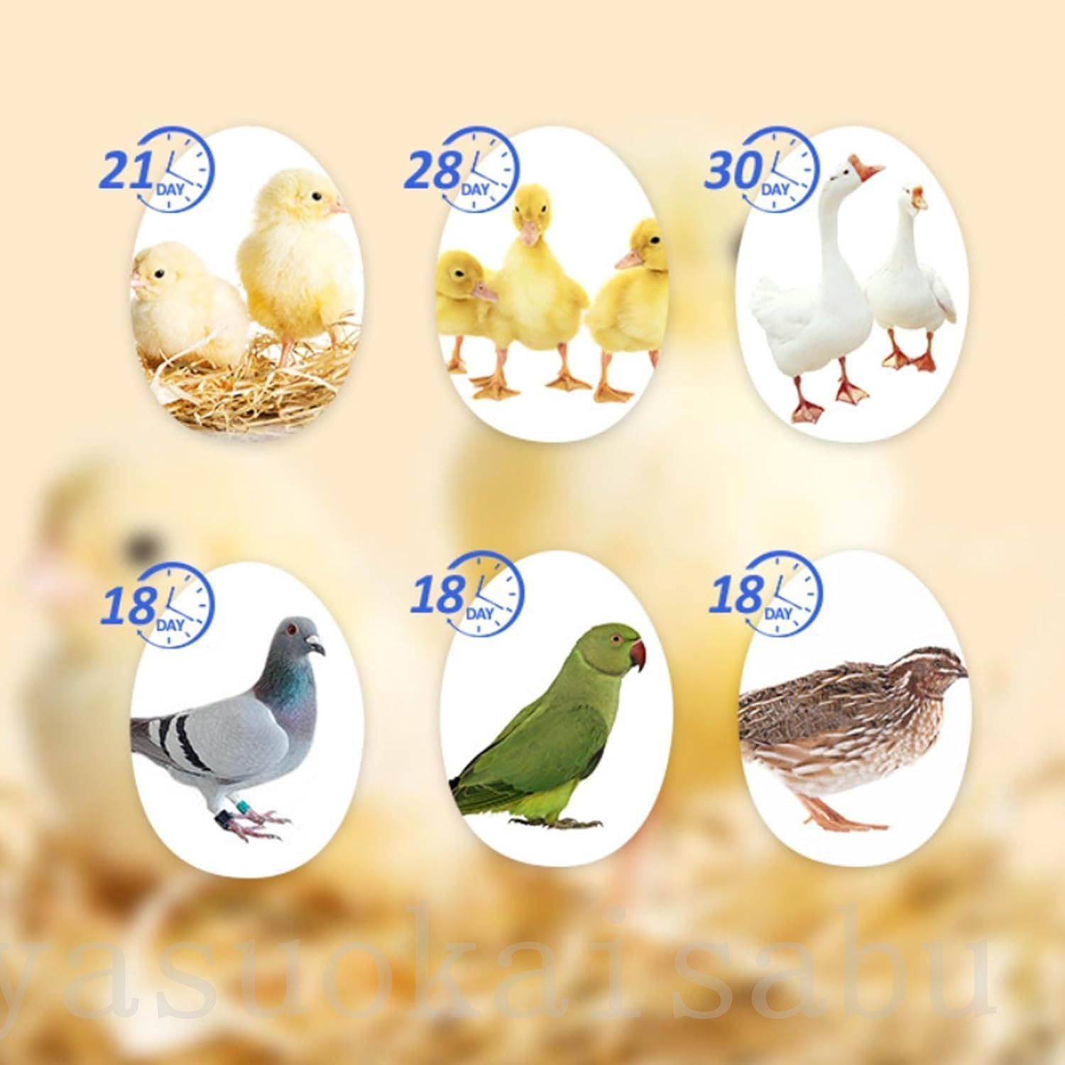 自動孵卵器インキュベーター36個大型デジタル表示自動転卵式LED冷光付き自動温度調節自動温度調節発泡スチロール検卵ライト内蔵