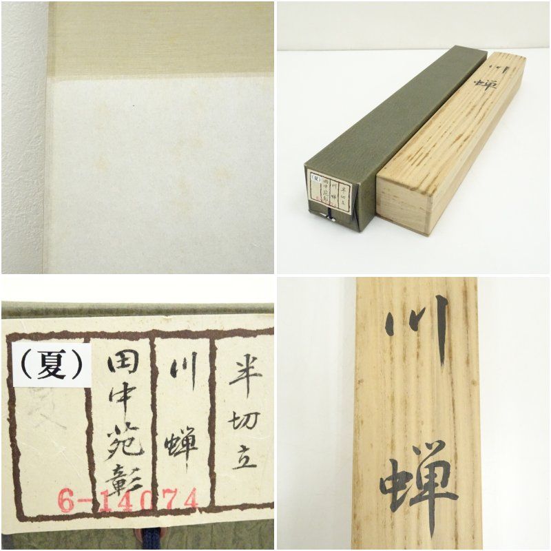 田中苑彰筆 芭蕉句 川蝉 肉筆紙本掛軸（共箱）掛け軸 床の間 書