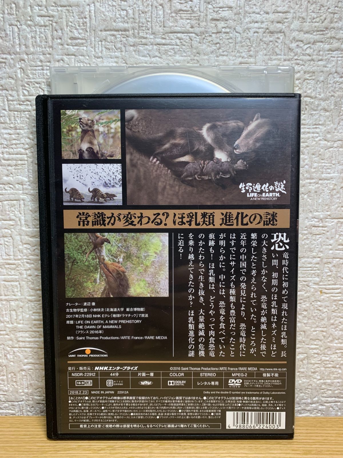 生命進化の謎 LIFE ON EARTH A NEW PREHISTORY DVD-BOX - ドキュメンタリー