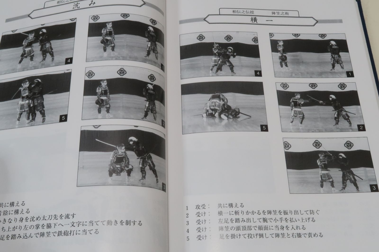 正伝柳生心眼流兵法術 柳生心眼流宗家である星国雄師範と