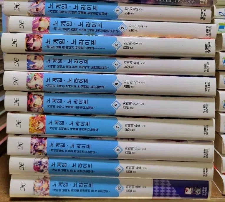 ノーゲーム ノーライフ 小説 1 10巻