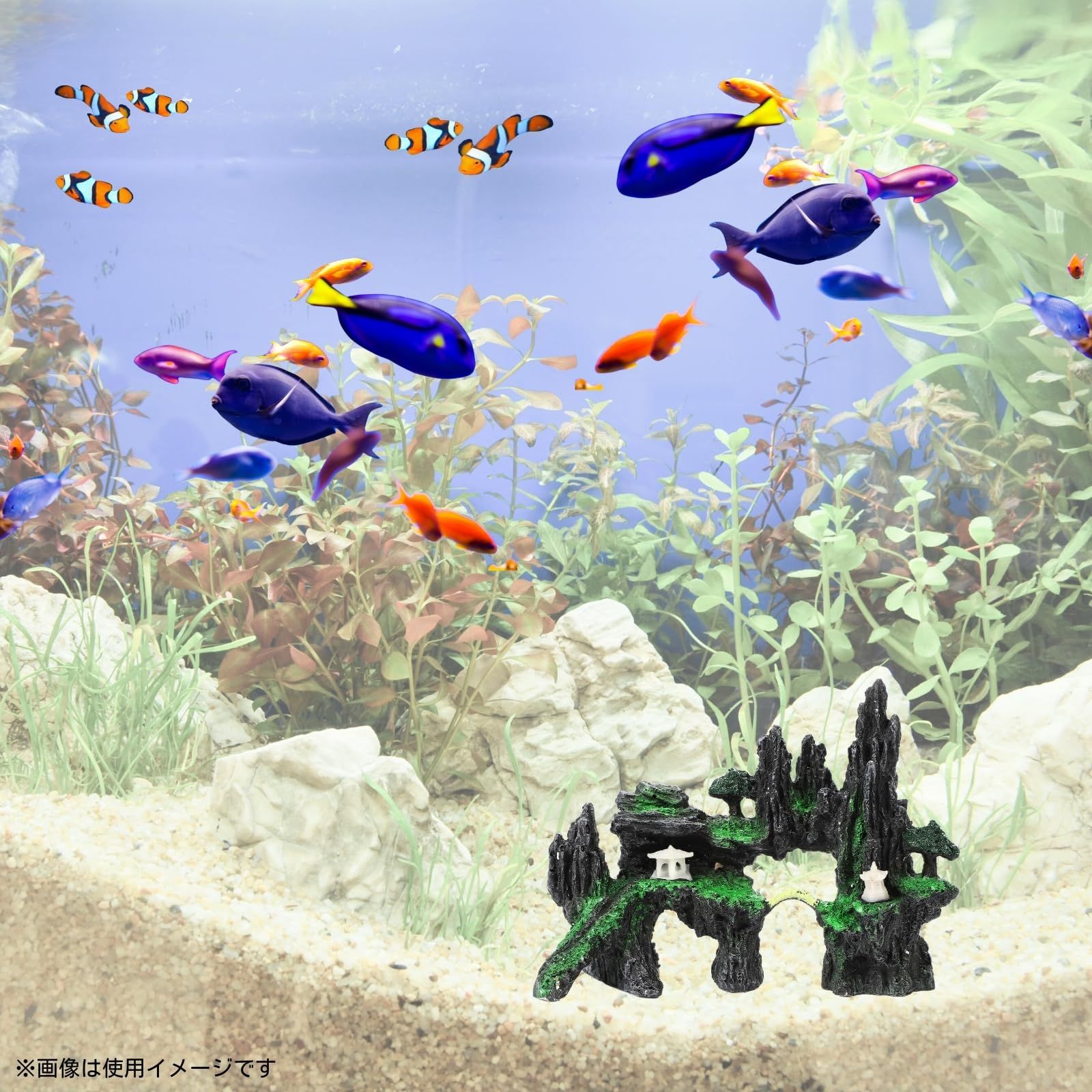 小型筒を設置 しばらく通常管理で様子見です。 #熱帯魚シェルター #アクアリウムシェルター #アクアリスト #Asatシェルター  #キンペコ#シェルタクラフタ #クーリーローチ #ドジョウ #plecocaves #catfish #aquascape #sheltacrafta