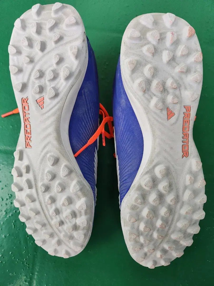 プレデターエリート TF　26.0 adidas アディダス プレデター ELITE TF(ブルー×ホワイト×レッド