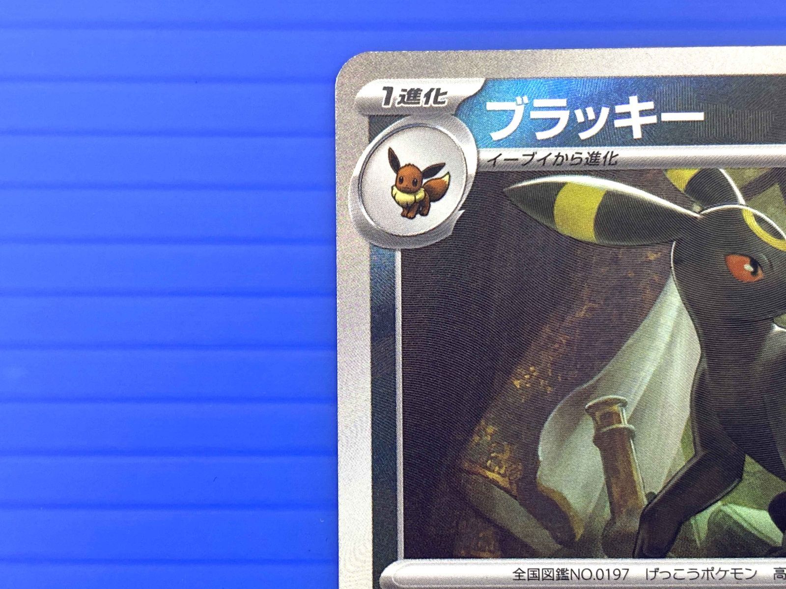 □【盛岡店56-0165】ブラッキー SV8a テラスタルフェスex 092