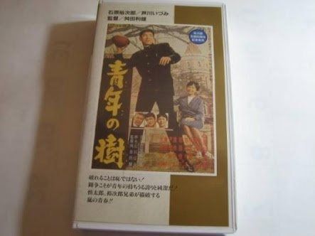 青年の樹 VHS