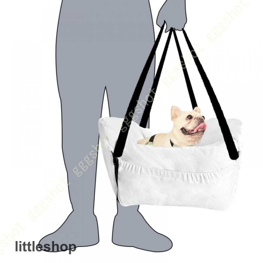 柴犬