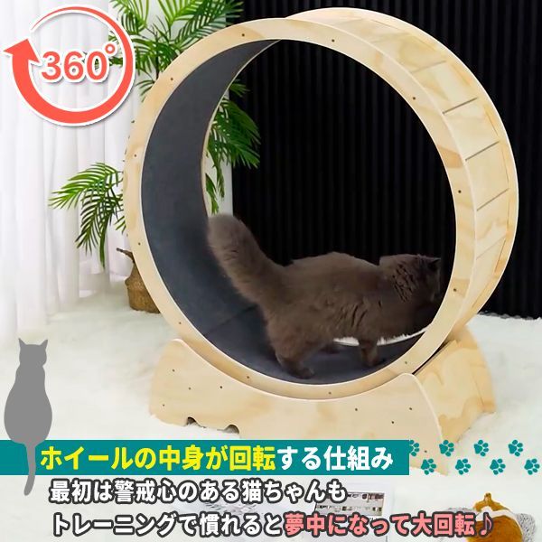 キャットホイール