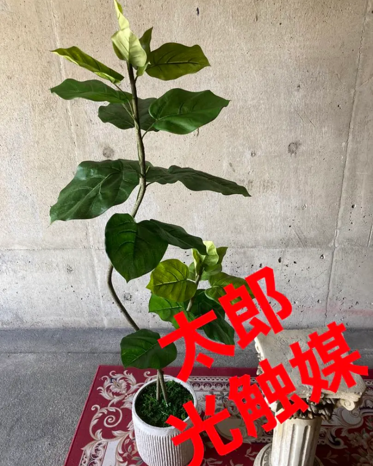 光触媒 人工観葉植物 ウォールグリーン フェイクグリーン ダブル