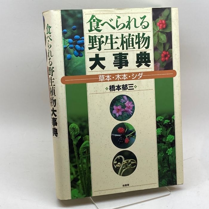 休日限定 日本薬草全書 和歌食物本草 現代語訳 まんが漢方入門 食べ 