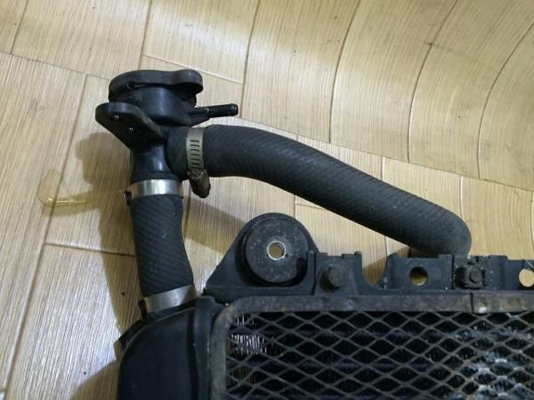 専用です！ 確認用です ライブディオZXとは？ニセモノに注意！