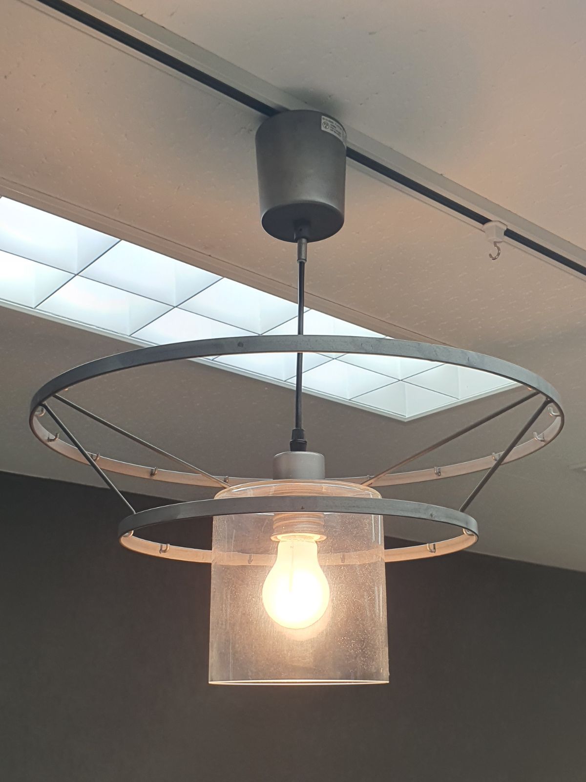 ディクラッセ フォレスティ ペンダントライト 装飾の葉無し