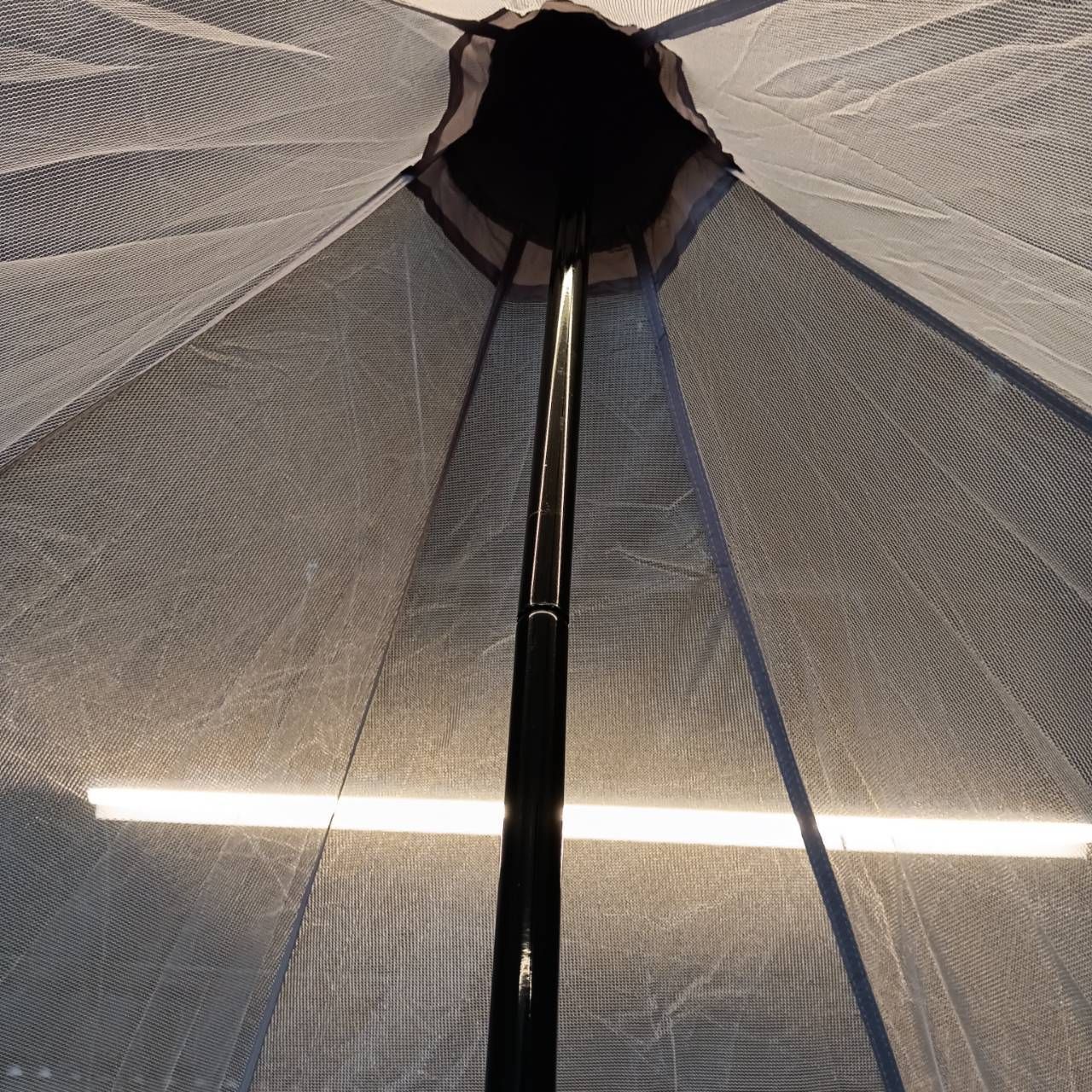 ブラック 品あり