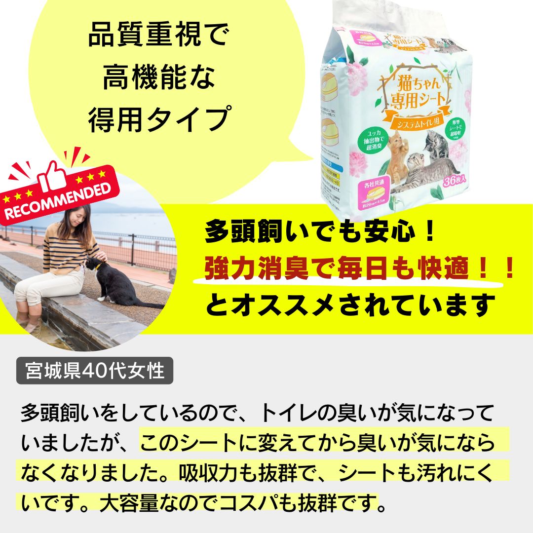 猫ちゃん シート