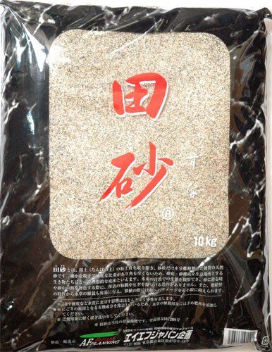 断捨離間近 希少✨ ロエベ トランプ&ポーチセット