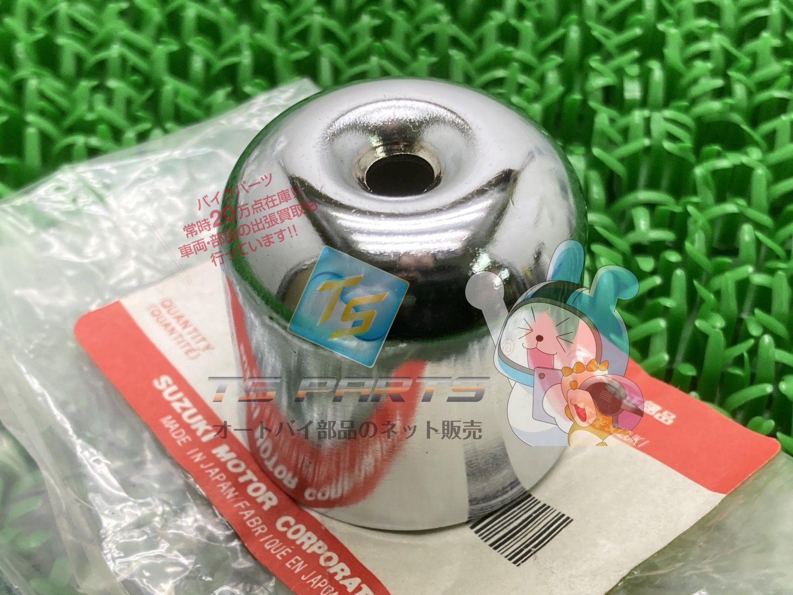 糸魚川真柏 古木 根連なり 寄せ植え ジン シャリ 捻転 根連り 寄植