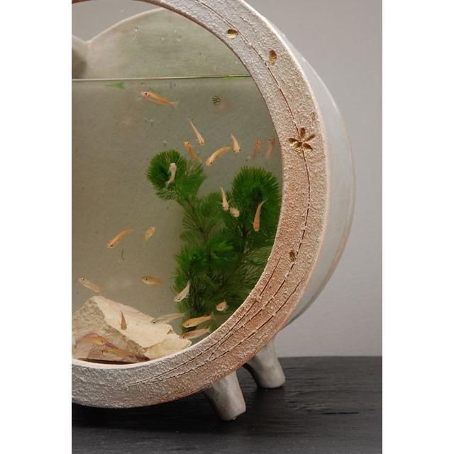 信楽焼 マガジンラック 高さ33cm 【公式通販】