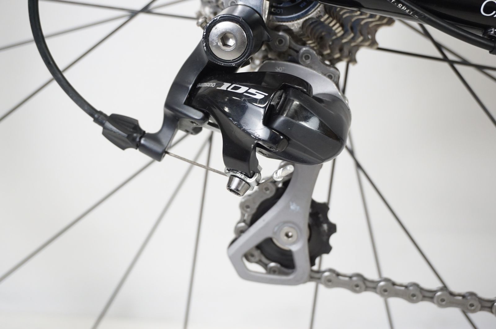 KUOTA クオータ