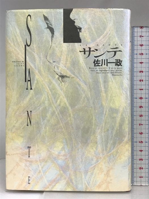 サンテ KADOKAWA 佐川 一政 - メルカリ