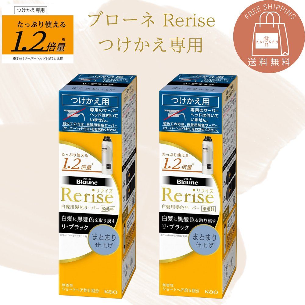 花王 リライズ リブラック まとまり仕上げ つけかえ用 5個セット