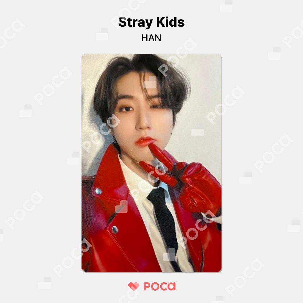 straykids ハン】スキズ 5-STAR Dome Tour 2023 NAGOYA 会場限定 公式 straykids トレカドームツアーハン