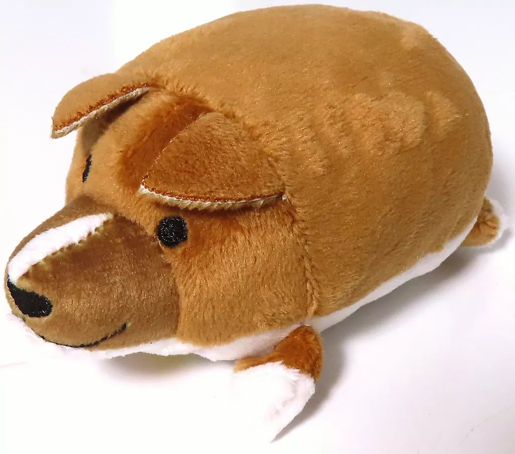 未開封　カウボーイビバップ　アイン　ぬいぐるみ 中古】ぬいぐるみ アイン ぬいぐるみ 「カウボーイビバップ