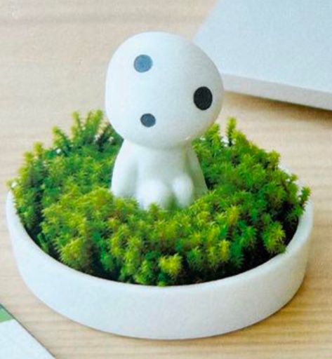 ジブリパーク もののけ姫 コダマ 苔栽培鑑賞セット - メルカリ