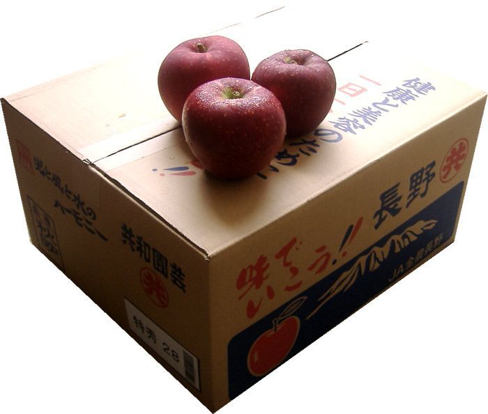 フルーツギフト 長野県りんご 秋映えりんご 長野県産 秋映りんご32玉化粧箱 10月中旬頃からの商品発送 WWW_USTAUSTRALIA_COM_AU