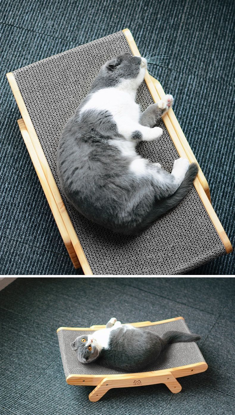 猫用ベッド