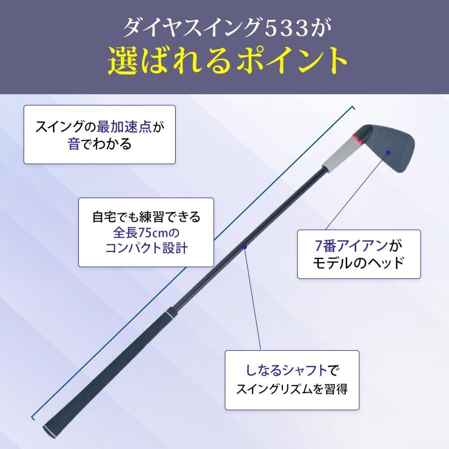 限定 Daiya Swing 533 スイング練習用クラブ